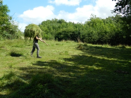 Bradlaugh August moving hay